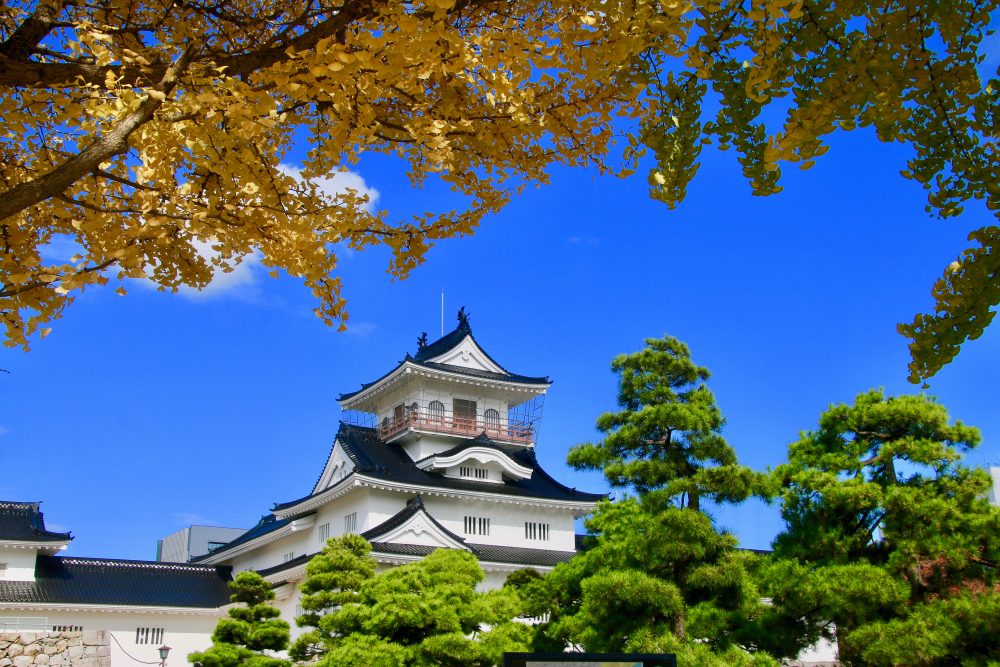 富山城/富山市乡土博物馆
