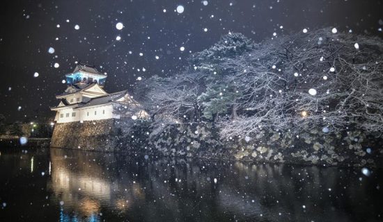 富山城/富山市乡土博物馆