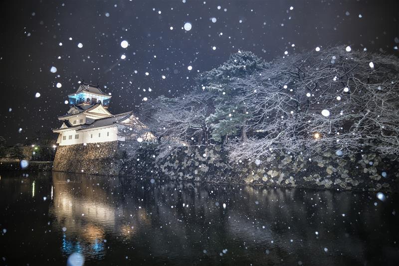 富山城/富山市乡土博物馆