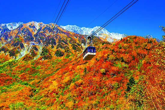 立山黑部高山路-富山砺波美居温泉度假酒店