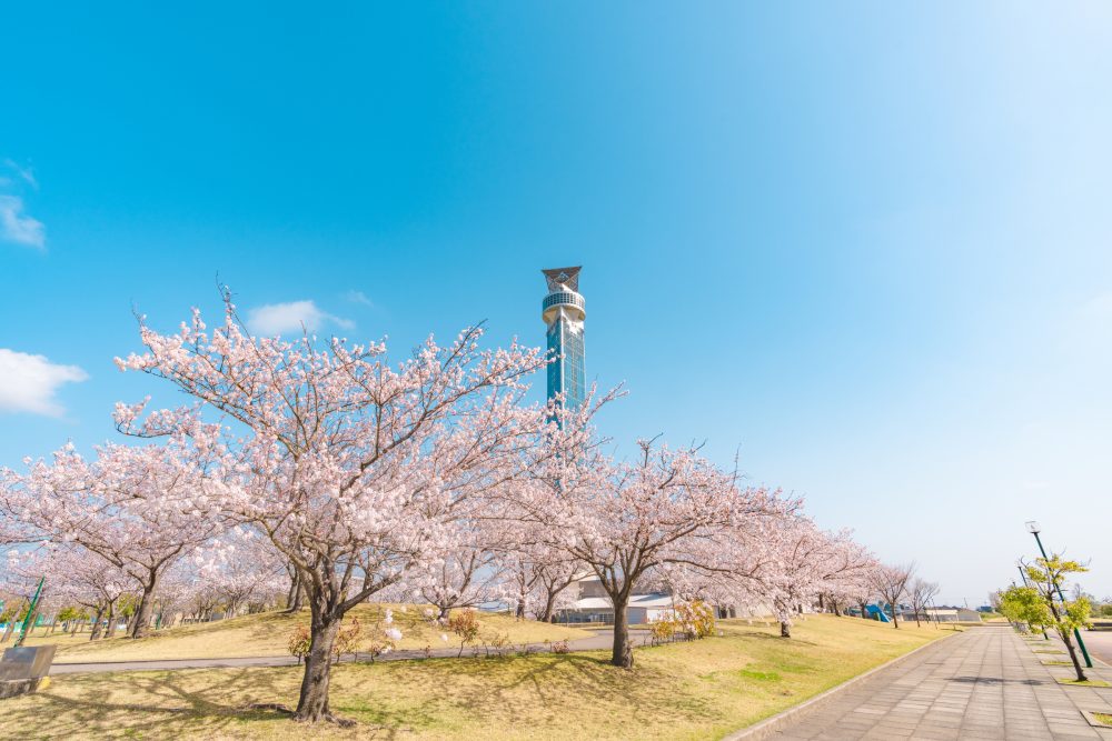 【小矢部市】克洛斯兰