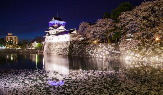 富山城/富山市乡土博物馆