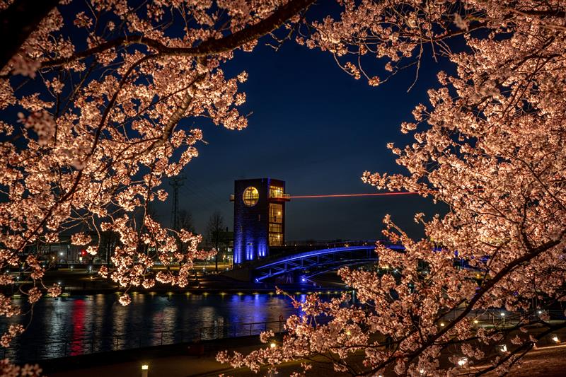 富岩运河环水公园