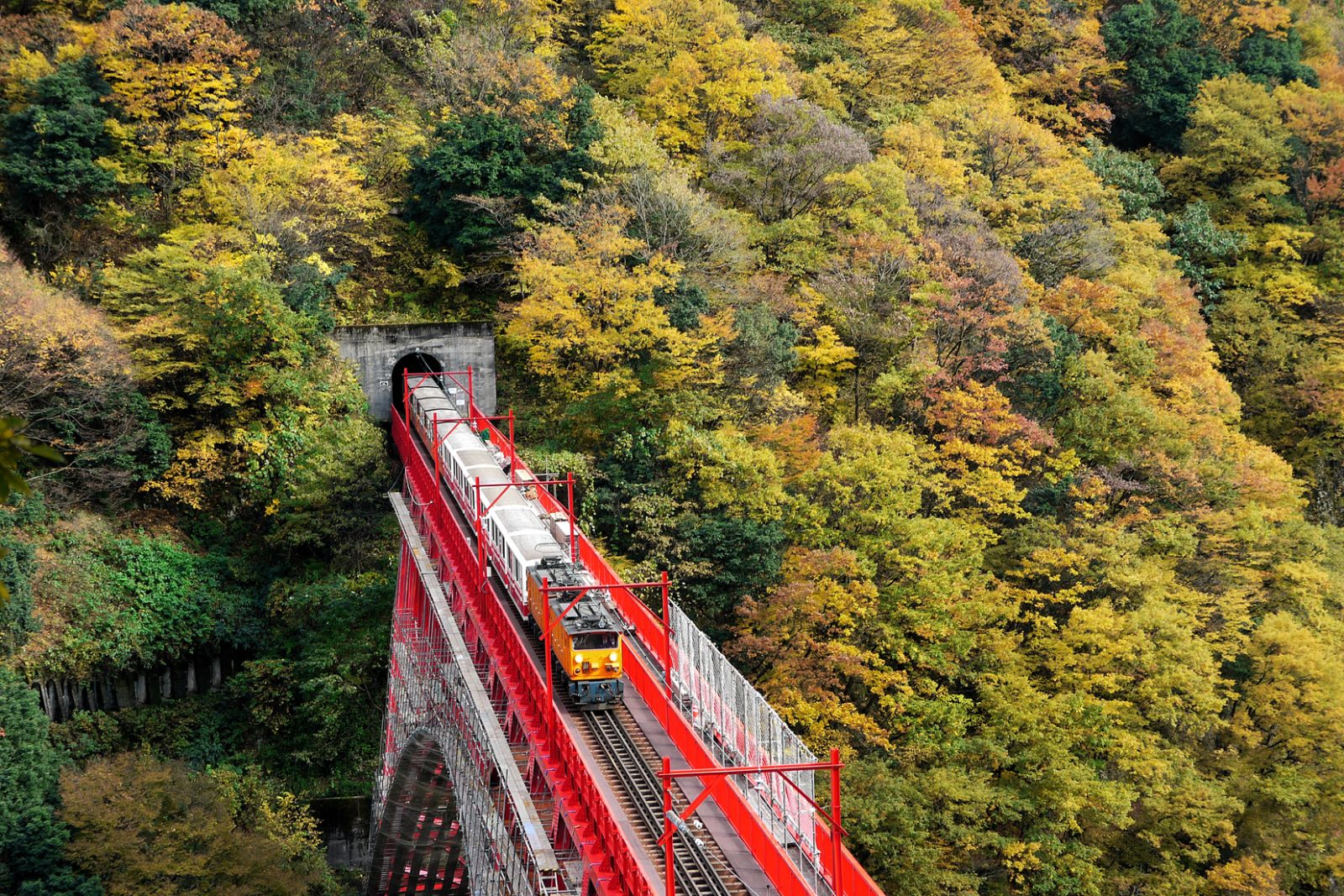 Kurobe Gorge Trolley Train - Mercure Toyama Tonami Resort & Spa