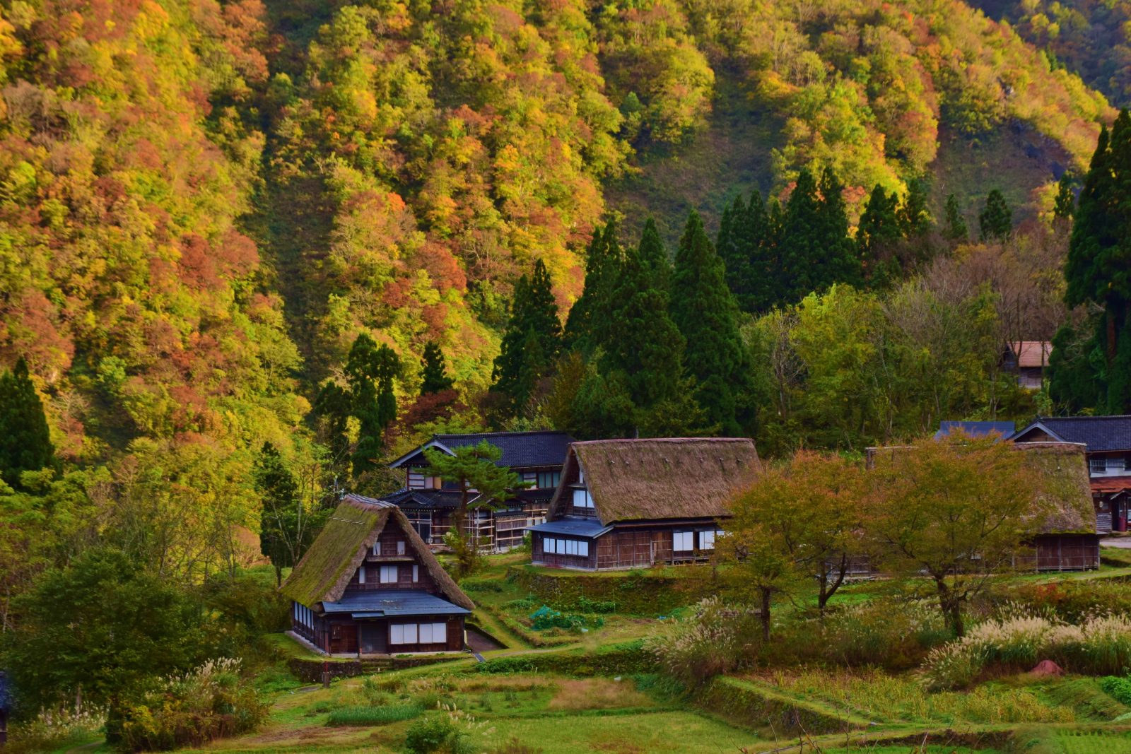 Main Visual Image| Mercure Toyama Tonami Resort & Spa