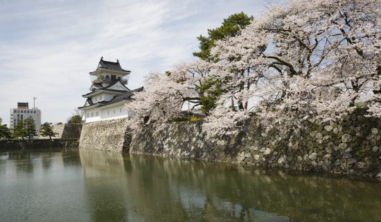 Toyama Castle / Toyama City Folk Museum