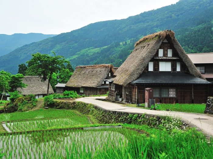 Introducing the ranking of sightseeing and activities selling well in Tonami, Mt. Goka and Shogawa