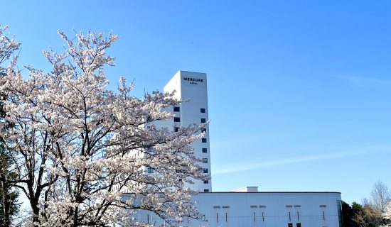 Your gateway to the charm of Hokuriku and the experience of the Tateyama Kurobe Alpine Route