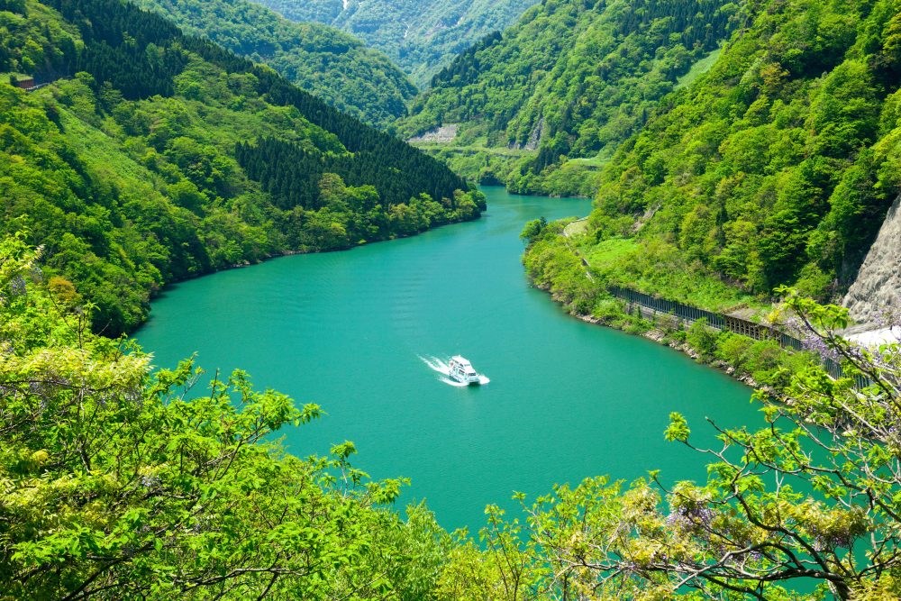 Fresh Green Shogawa Gorge Pleasure Boat (Snow)