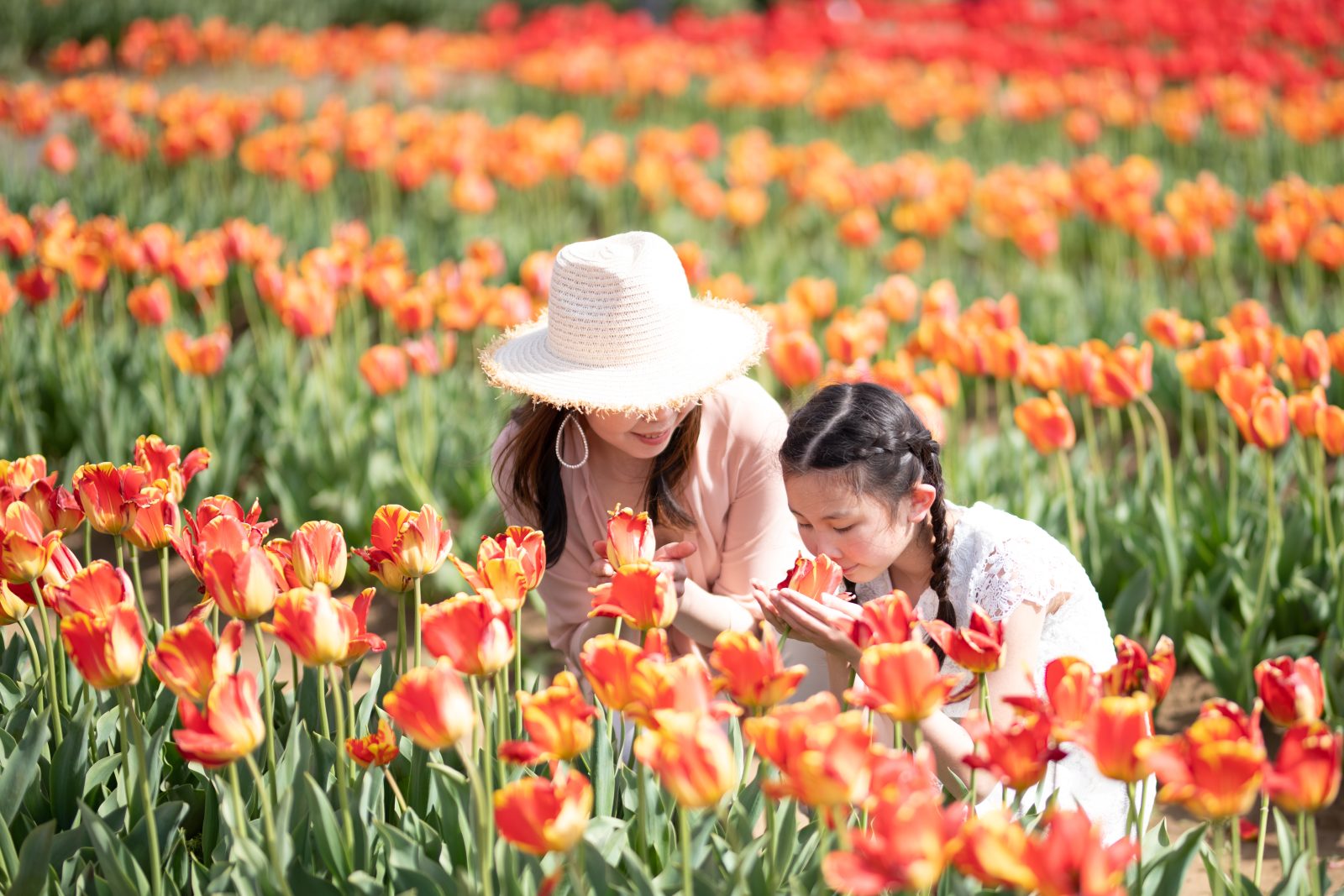 【Official Website Limited Accommodation Plan】 Children under elementary school age are free!