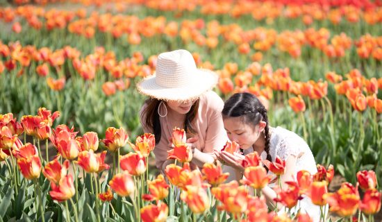 【Official Website Limited Accommodation Plan】 Children under elementary school age are free!