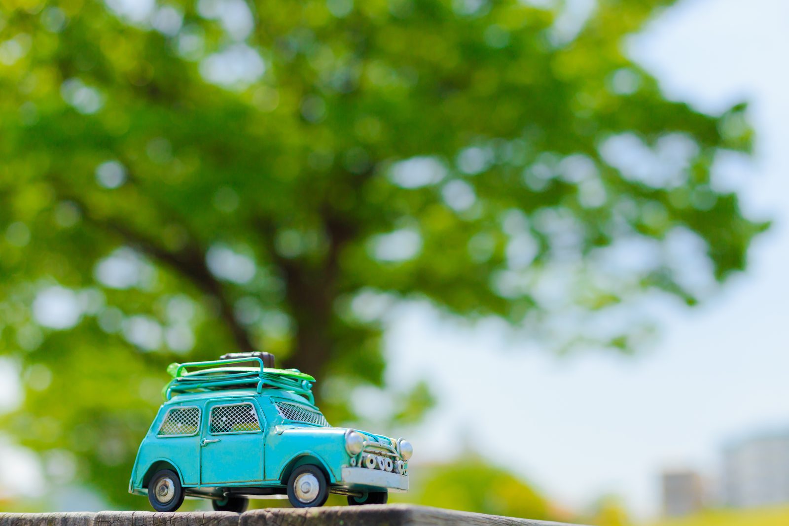 -A great price for free travel and relaxation -