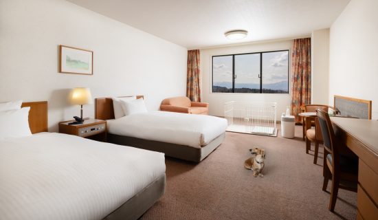 Classic Room with 2 single beds and 2 sofa beds, Dog-friendly