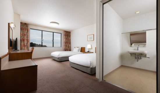 Classic Accessible Room with 2 single beds