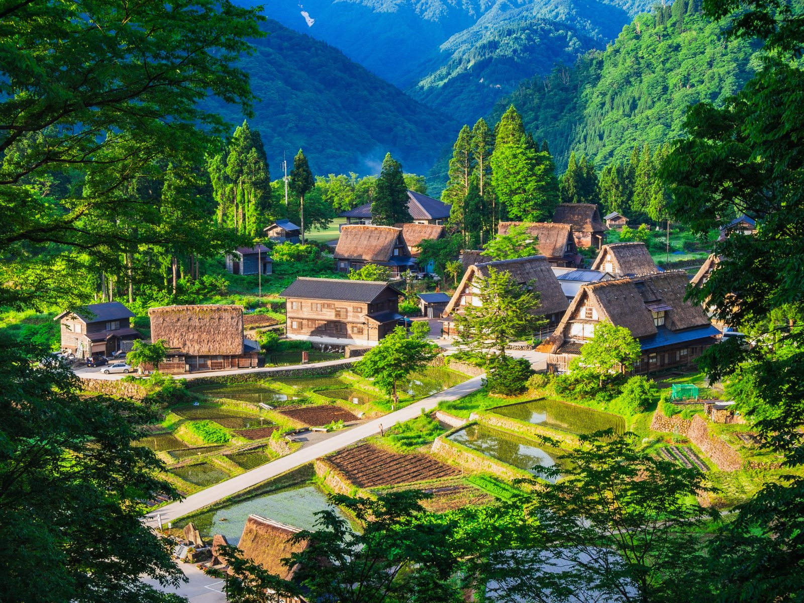 相倉合掌造村落