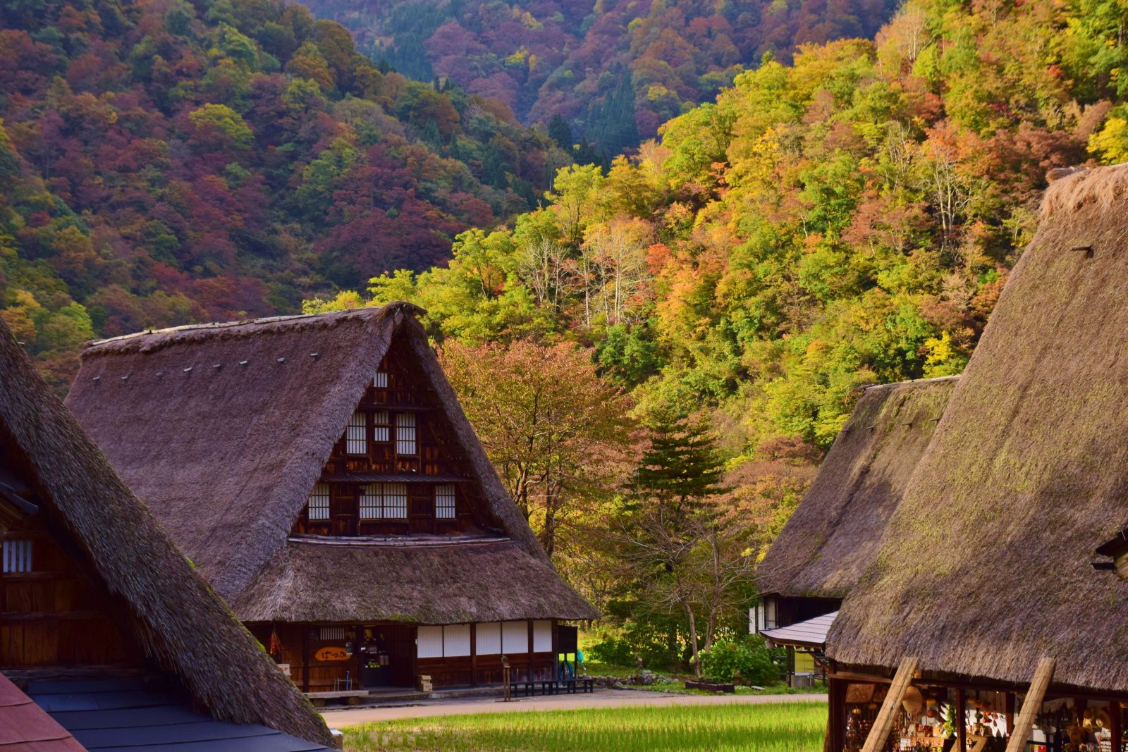 介紹砺波、五個山、莊川的旅遊和活動暢銷排行榜