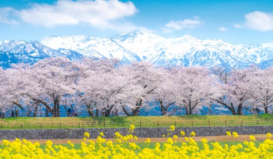 照片畫廊圖像|富山礪波美居溫泉度假酒店 