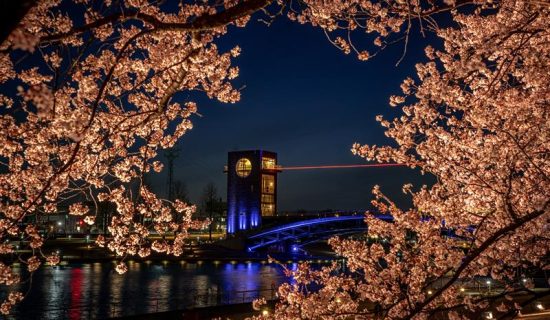 富岩運河環水公園