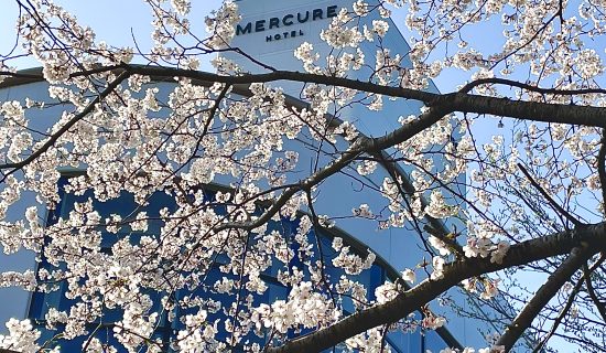 照片畫廊圖像|富山礪波美居溫泉度假酒店 