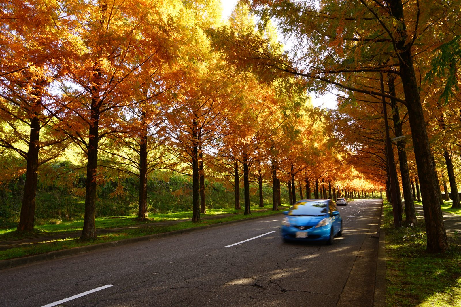 -以優惠價格享受自由之旅和放鬆之時