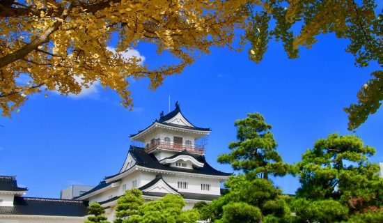富山城／富山市郷土博物館