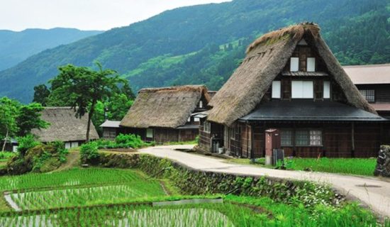 砺波・五箇山・庄川の観光&アクティビティ 売れ筋ランキングをご紹介