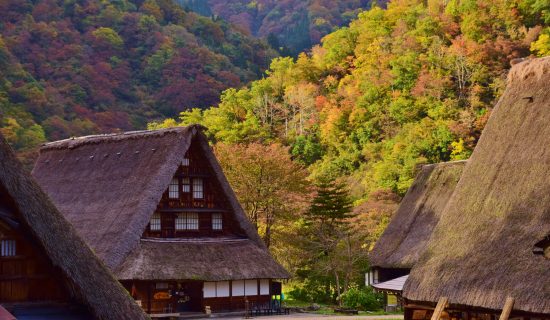 砺波・五箇山・庄川の観光&アクティビティ 売れ筋ランキングをご紹介