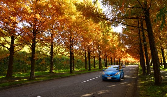 ー自由な旅とくつろぎのひと時をお得な価格でー